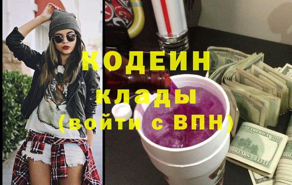 спиды Вяземский