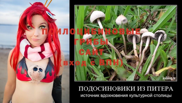 стафф Вязники