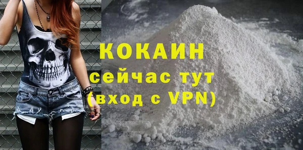 спиды Вяземский