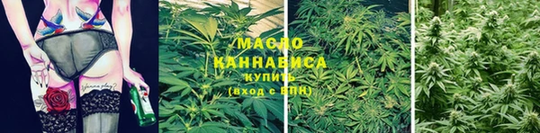 спиды Вяземский