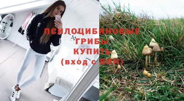 спиды Вяземский
