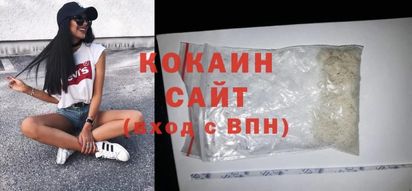 спиды Вяземский