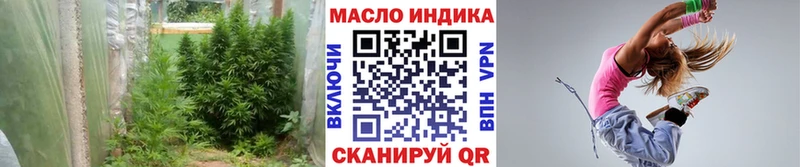 Купить закладки  Новодвинск  Дистиллят ТГК Wax 