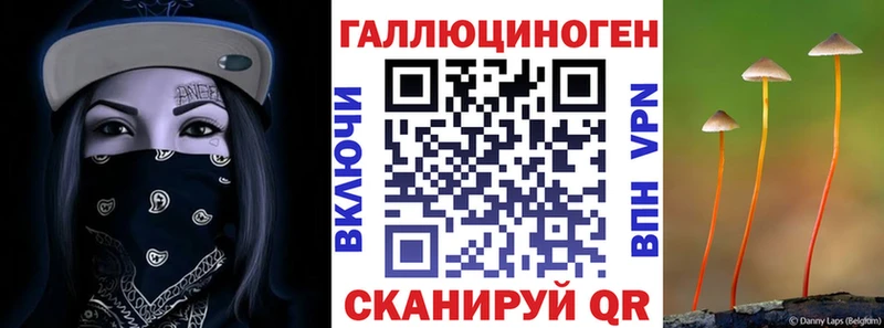 Псилоцибиновые грибы прущие грибы Купить где Новодвинск