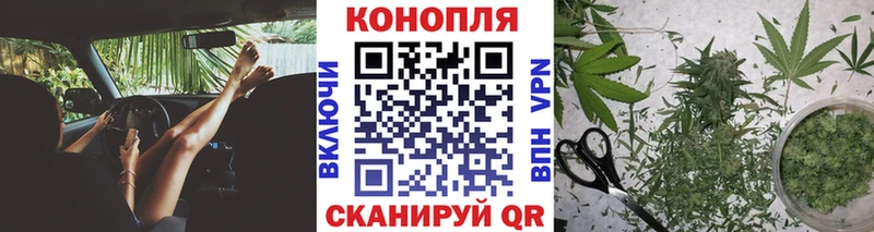 Купить закладки  Новодвинск  Бошки марихуана AK-47 